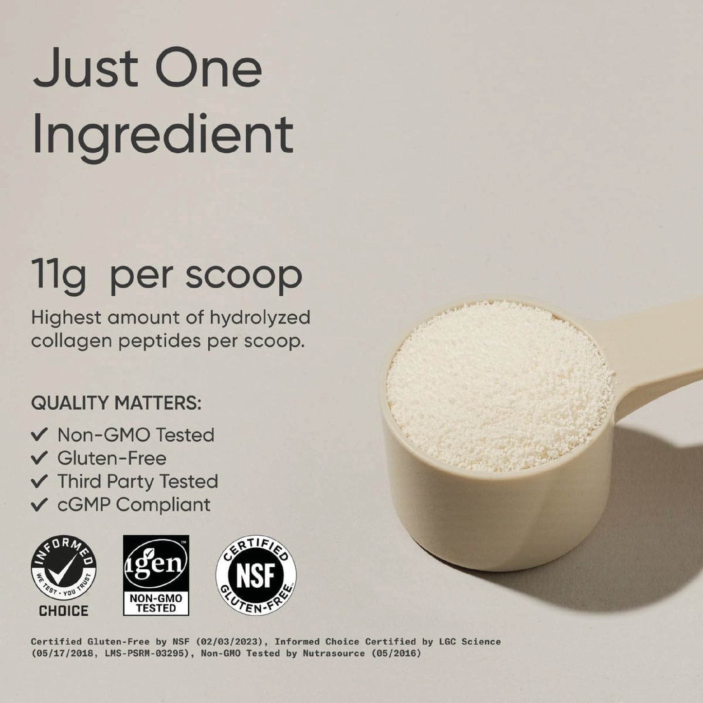 PÉPTIDOS DE COLÁGENO HIDROLIZADO 1 LB