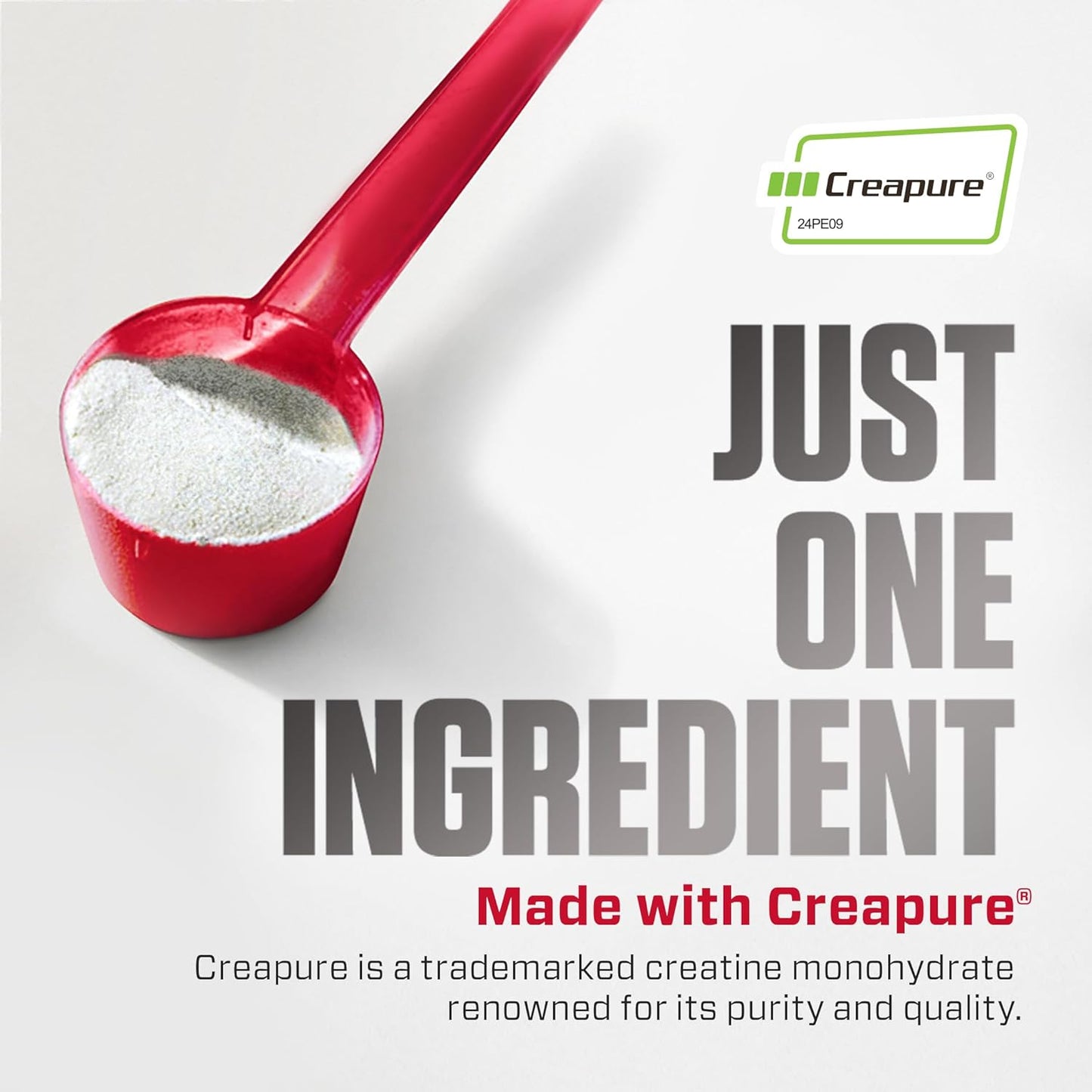 CREATINA DYMATIZE CREAPURE 300 GRAMOS