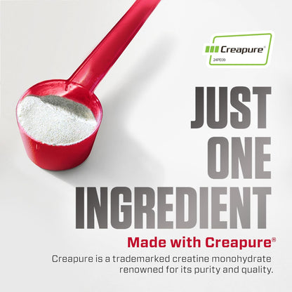 CREATINA DYMATIZE CREAPURE 300 GRAMOS