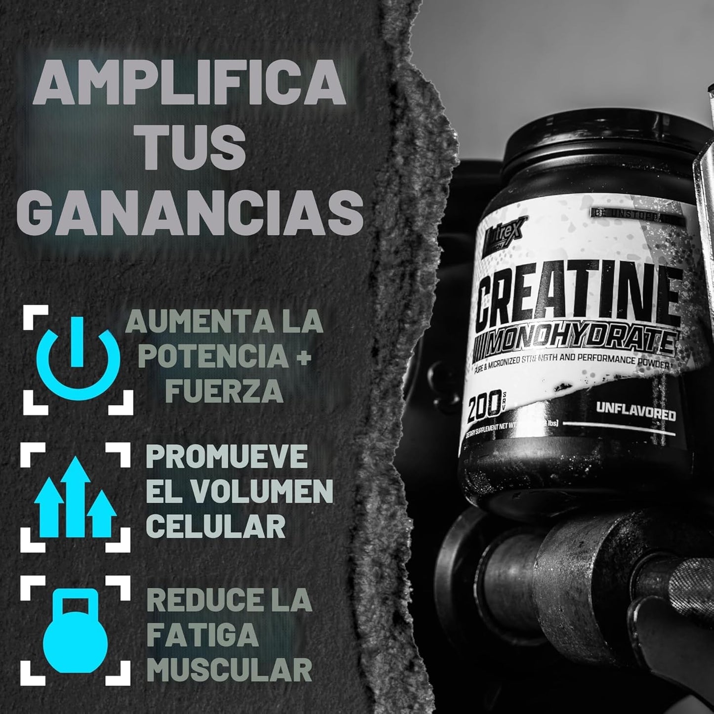 CREATINA NUTREX MONOHIDRATO 1 KILO